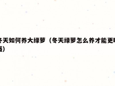 冬天如何养大绿萝（冬天绿萝怎么养才能更旺盛）