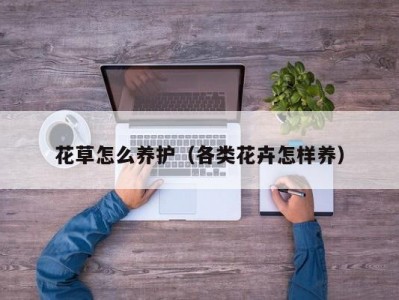 花草怎么养护（各类花卉怎样养）