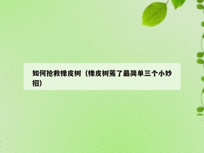 如何抢救橡皮树（橡皮树蔫了最简单三个小妙招）