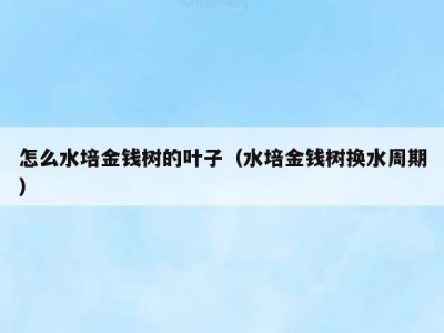 怎么水培金钱树的叶子（水培金钱树换水周期）