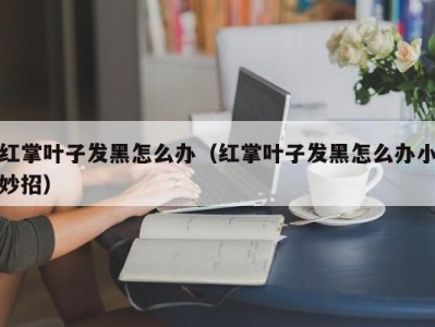 红掌叶子发黑怎么办（红掌叶子发黑怎么办小妙招）