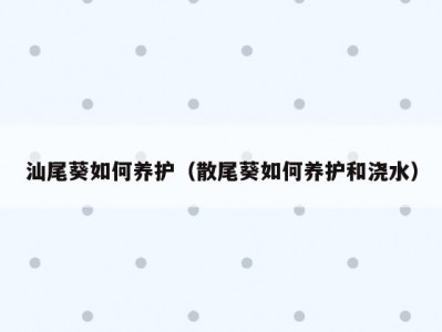 汕尾葵如何养护（散尾葵如何养护和浇水）