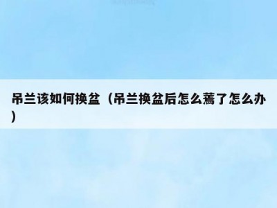吊兰该如何换盆（吊兰换盆后怎么蔫了怎么办）