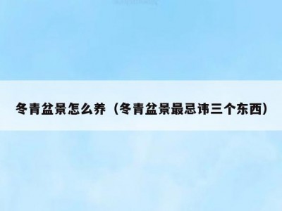 冬青盆景怎么养（冬青盆景最忌讳三个东西）