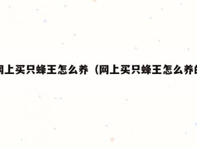 网上买只蜂王怎么养（网上买只蜂王怎么养的）