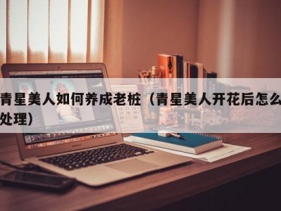 青星美人如何养成老桩（青星美人开花后怎么处理）