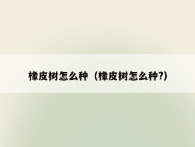 橡皮树怎么种（橡皮树怎么种?）