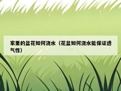 家里的盆花如何浇水（花盆如何浇水能保证透气性）