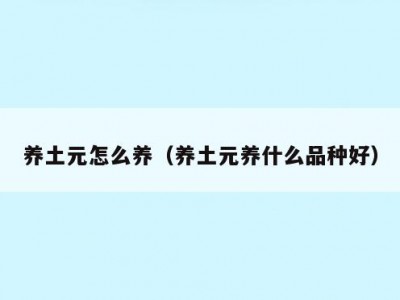 养土元怎么养（养土元养什么品种好）