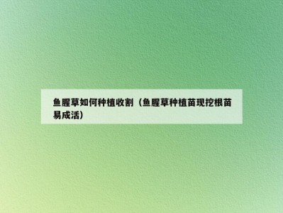 鱼腥草如何种植收割（鱼腥草种植苗现挖根苗易成活）