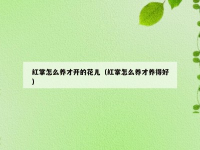 红掌怎么养才开的花儿（红掌怎么养才养得好）