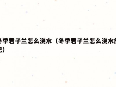 冬季君子兰怎么浇水（冬季君子兰怎么浇水施肥）