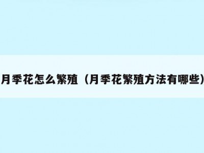 月季花怎么繁殖（月季花繁殖方法有哪些）