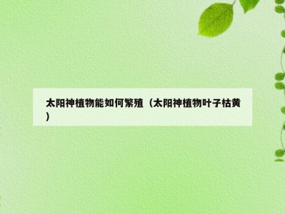 太阳神植物能如何繁殖（太阳神植物叶子枯黄）