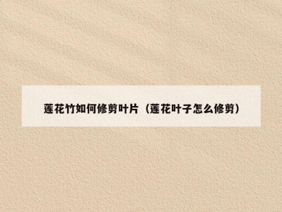 莲花竹如何修剪叶片（莲花叶子怎么修剪）