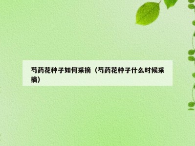 芍药花种子如何采摘（芍药花种子什么时候采摘）
