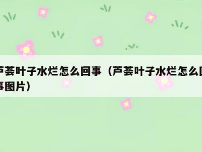 芦荟叶子水烂怎么回事（芦荟叶子水烂怎么回事图片）
