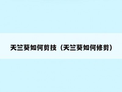 天竺葵如何剪技（天竺葵如何修剪）