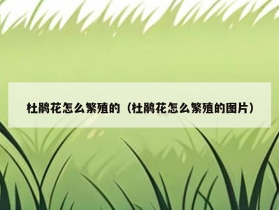 杜鹃花怎么繁殖的（杜鹃花怎么繁殖的图片）