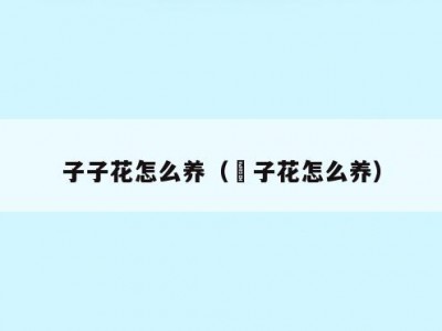 子子花怎么养（杍子花怎么养）