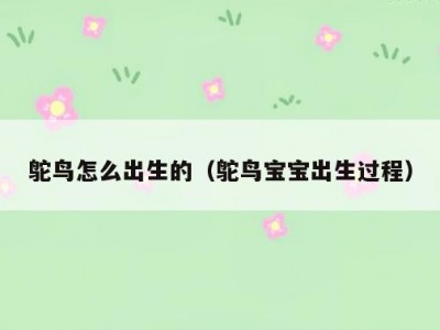 鸵鸟怎么出生的（鸵鸟宝宝出生过程）