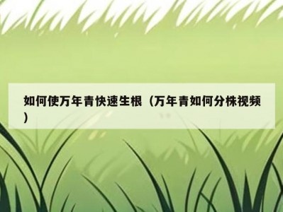 如何使万年青快速生根（万年青如何分株视频）