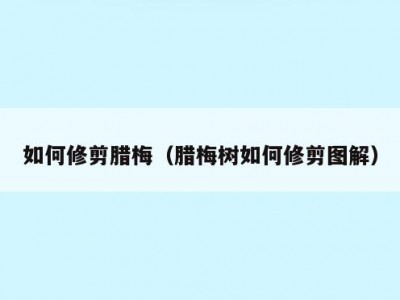 如何修剪腊梅（腊梅树如何修剪图解）