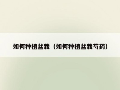 如何种植盆栽（如何种植盆栽芍药）