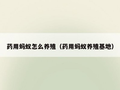 药用蚂蚁怎么养殖（药用蚂蚁养殖基地）