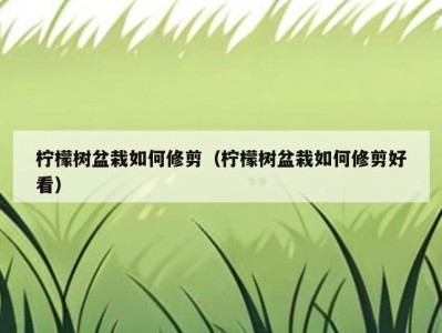 柠檬树盆栽如何修剪（柠檬树盆栽如何修剪好看）