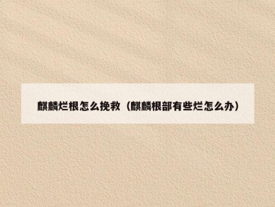 麒麟烂根怎么挽救（麒麟根部有些烂怎么办）