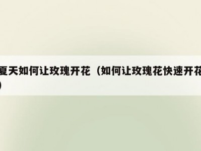 夏天如何让玫瑰开花（如何让玫瑰花快速开花）