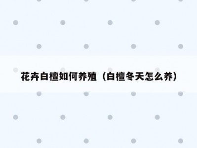 花卉白檀如何养殖（白檀冬天怎么养）