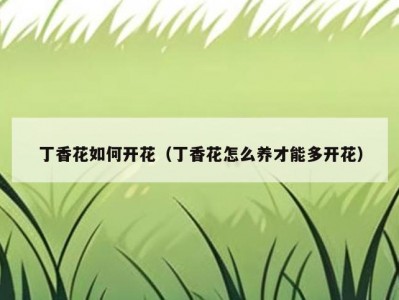 丁香花如何开花（丁香花怎么养才能多开花）
