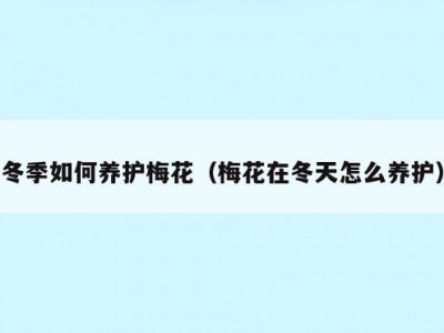 冬季如何养护梅花（梅花在冬天怎么养护）