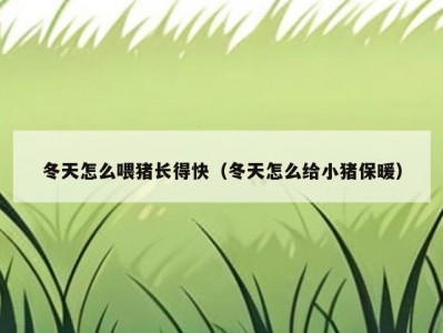 冬天怎么喂猪长得快（冬天怎么给小猪保暖）