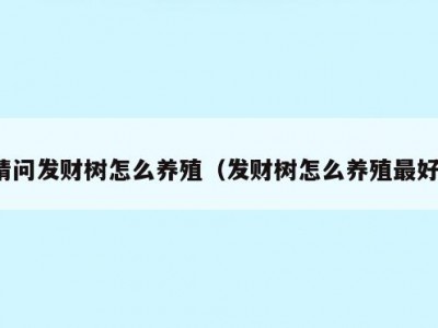 请问发财树怎么养殖（发财树怎么养殖最好）