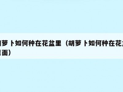 胡萝卜如何种在花盆里（胡萝卜如何种在花盆里面）