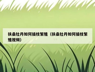 扶桑牡丹如何插枝繁殖（扶桑牡丹如何插枝繁殖视频）