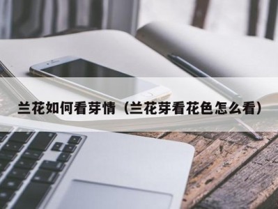 兰花如何看芽情（兰花芽看花色怎么看）