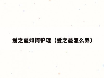 爱之蔓如何护理（爱之蔓怎么养）