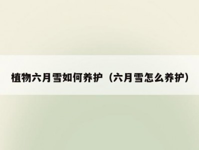 植物六月雪如何养护（六月雪怎么养护）