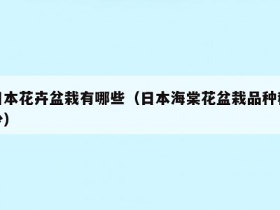 日本花卉盆栽有哪些（日本海棠花盆栽品种稀少）
