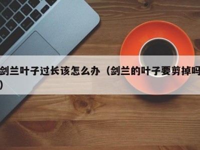 剑兰叶子过长该怎么办（剑兰的叶子要剪掉吗）