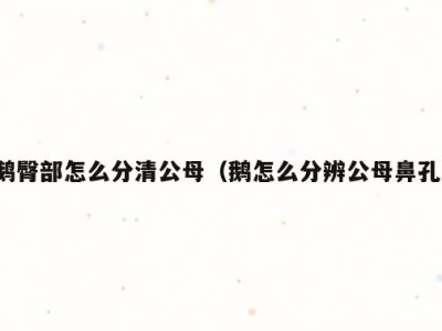 鹅臀部怎么分清公母（鹅怎么分辨公母鼻孔）