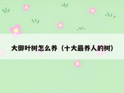 大御叶树怎么养（十大最养人的树）
