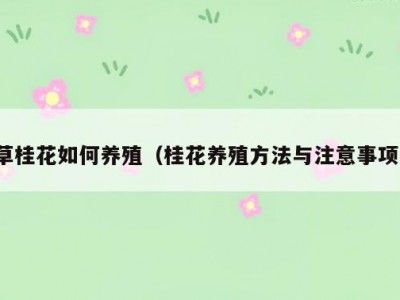 草桂花如何养殖（桂花养殖方法与注意事项）