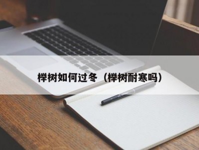 榉树如何过冬（榉树耐寒吗）