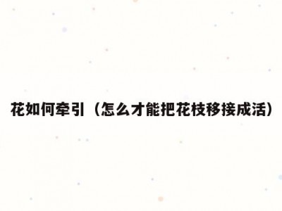 花如何牵引（怎么才能把花枝移接成活）