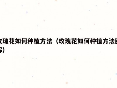 玫瑰花如何种植方法（玫瑰花如何种植方法图解）
